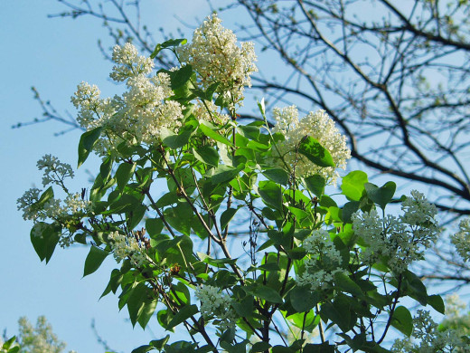 428444 (a): :1600x1200